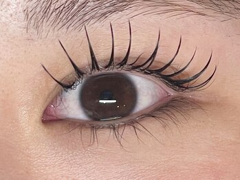 バタフライ 平塚店(Butterfly)/エクステ×まつ毛パーマ