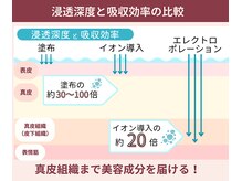 アマテ(Amate)/エレクトロポレーションの浸透率