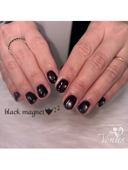 ヴィーナス(Venus)/マグネットネイル