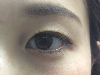 シュシュ(chou chou)/セーブル120本(chouchou吉祥寺)