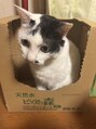 ルアンルアン ウニクス南古谷店 (Ruam Ruam)&nbsp;箱入り娘♪
