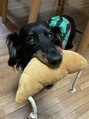 ネイルアイサロンアンドスクール リッカ(Lycka) 実家で犬を飼っています!いつも癒されています(^○^)
