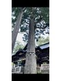 美楽流(miracle)&nbsp;樹齢８００年の御神木！ここで活力の源『氣』を頂きました！