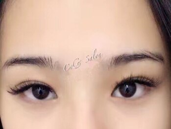 ココサロン(CoCo Salon)/エアーセーブル(上)80本 4180円