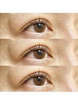 ランプシー(Lampsi)/