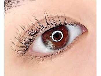 リアン ラッシュリフト(Lien LASHLIFT)/デザインまつげパーマ+4stepTr