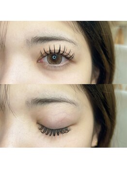 シー 鷺沼(sii)/パーフェクトラッシュ