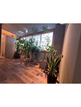 冷え改善・代謝をUPしたい