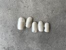 定額サンプルコース