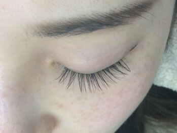 シュシュ(chou chou)/セーブル120本(chouchou吉祥寺)