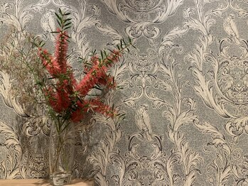 スワンスタイル(SWANSTYLE)/