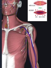 紬(TSUMUGI)/血行不良改善