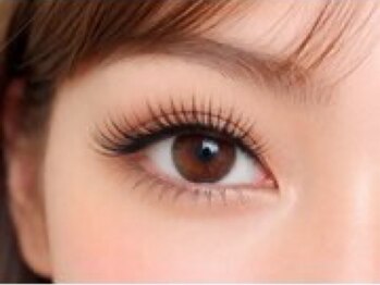 プレッシュ(Presh)の写真/【夏のお目元メンテナンス♪】まつげパーマ×眉毛・眉Wax・HBLで垢抜け目元を演出◎夏のご優待実施中★