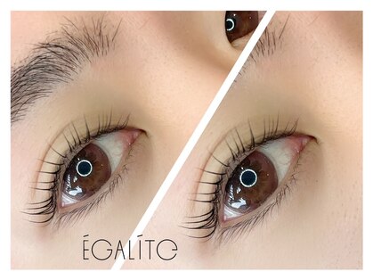 エガリテ(EGALite)の写真