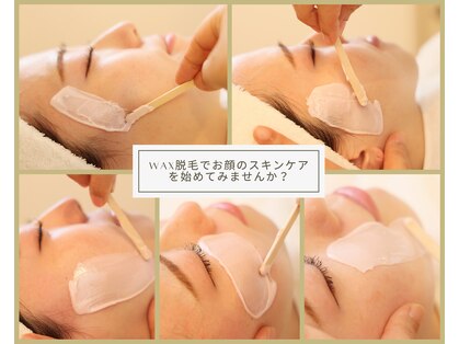 アール ピヴォワンヌ(R.pivoine)の写真