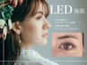 【5回目まで】LED×フラットラッシュ100本￥6600/120本￥6900