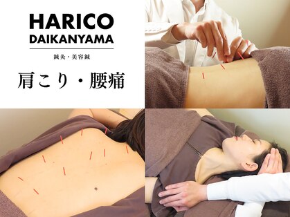 ハリコ 代官山の写真
