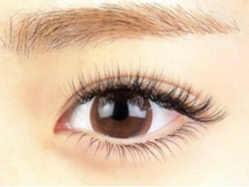 セレッソ(cerezo)/すべて同じ長さ・太さ