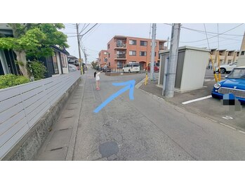 フラワー(Flower87)/