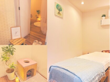 アマナ(amana)の写真