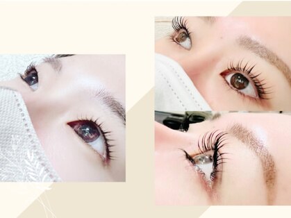 プレッシュ(Presh)の写真