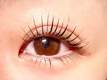 バンビちゃんのお目目 辻堂本店の写真/《リピーター多数!》当店自慢の"バンビラッシュ"で目元のリフトUP◎すっぴんでも盛れる目元にお仕上げ*