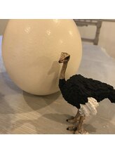 ◆ダチョウ抗体化粧品取り扱い店舗◆