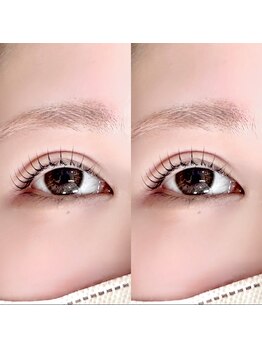 ロム フローラ(Rom Flora)/