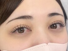 ルピナス 川口(Lupinus)/フラットラッシュ180本