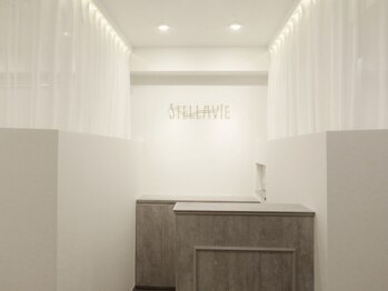 ステラヴィエ(Stellavie)/カウンター