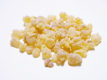 スーフラワー(SOO-flower)/これがアロマの王様！