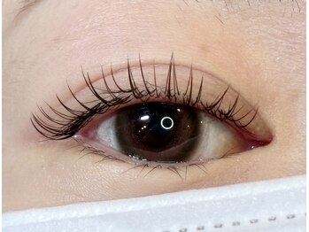 レミア 関内(REMIA)/7月　ブラウンデザイン