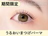 【7月23日まで限定】潤いまつげパーマ ￥3850→【￥3100】[三宮]