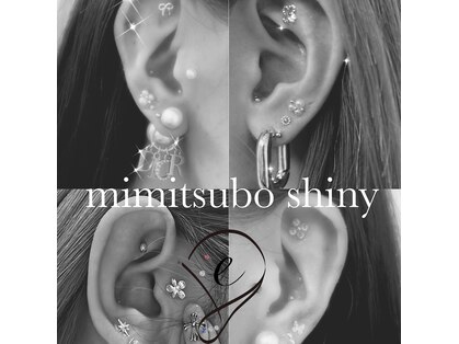 シャイニー(shiny)の写真