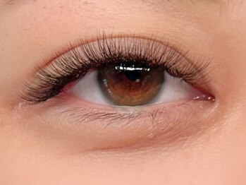 エクシア(EXCIA)/ボリュームラッシュ400本