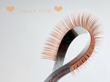 ハーゼ(Hase)/sakura coral【flat color】