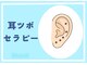 シャンティ(Shanti)の写真