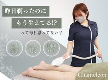 カメレオン(Chameleon)