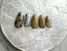 【オフ無料】季節ごと変わる定額ネイル/パラジェル込/フィルイン