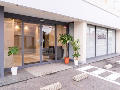 アウラ(aulla)の写真
