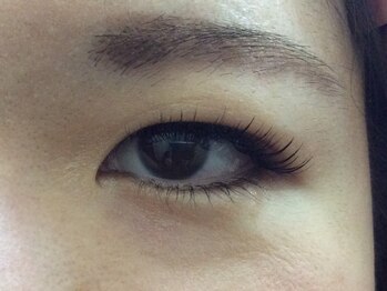 シュシュ(chou chou)/セーブル180本(chouchou吉祥寺)