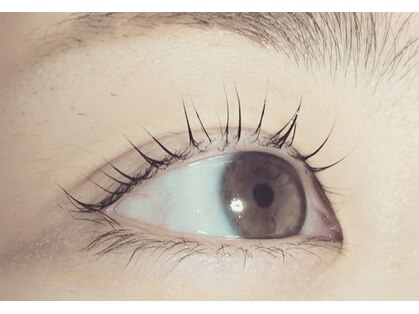 フィグ(Figue)の写真