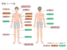 ベル(Belle)/【パーツ表】男性〈身体〉