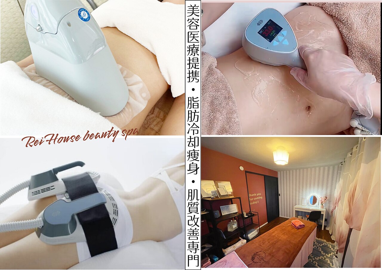 ヘルシーレイカーボン ヘルシーレイ CARBONS B 鈴木光線治療研究所製