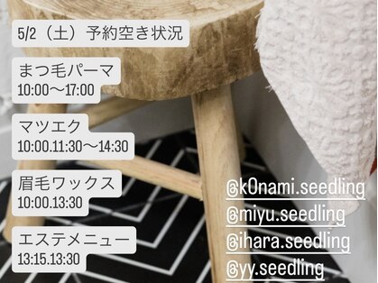 シードリン(Seedling)の写真