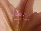 月定額デザイン/ご新規6900~