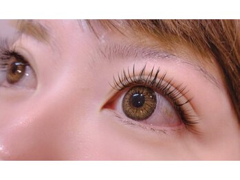 リシェル 沼津(Richelle)/フラットラッシュ　160本☆