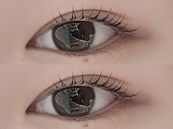 リノ(Lino)/立ち上げ×カール