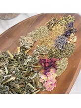 ジュエルオーキッド(Jewel orchids)/おかま直伝よもぎ蒸し