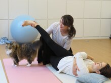 ヨーコヨガ(yo-co.yoga)の雰囲気（猫が時々顔を出しますが、邪魔はしません。一緒にのんびりと。）